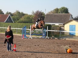 img_0162_web
